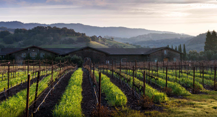 Sonoma Coast vineyard estate — George Cameron Thieriot Thieriot Wines